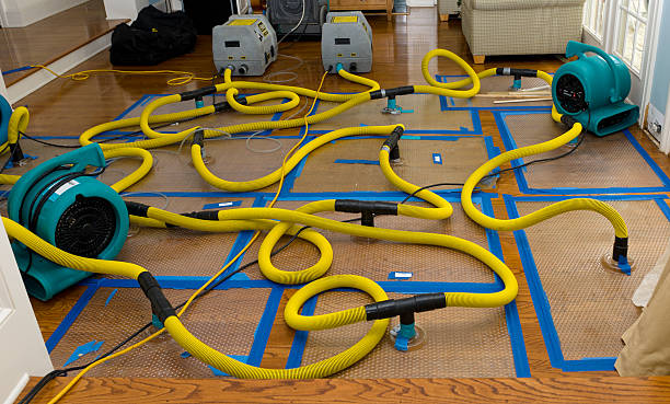 Professional Basement Flood Cleanup technician working in Centerville, SC